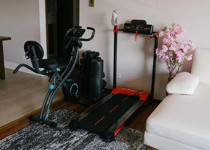 Near O'Hare • Personal Gym & Balcony • Safe Area Apartamento
